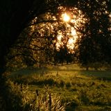 Solstice Mix