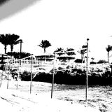 live in @melia sinai hotel rooftop session