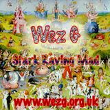 Wez G - Stark Raving Mad