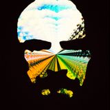 Geoff Leppard Transmissions from the Psychedelic Basement
