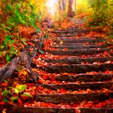 MadLiquid - Autumn 2014 Promo Mix