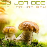 The Healing Box (2011)