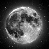 MoonLights