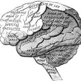 What's wrong in the head of JZF???