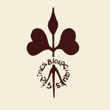 Interview du Biau Germe par Gloria