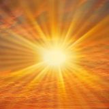 Spring Sunshine