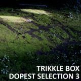 Trikkle Box - Dopest Selection 3