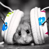 Radio EdSoft Films - 91.2 OMG I Love That Song! Vol. 2