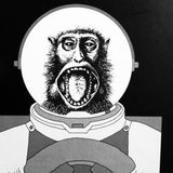 Loose Bones - 11th April 2016