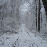ZakRAW - Raw Sounds in the Mix - December 2012