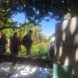 20190703_RM_SomEnxada_#91 ............. AgriculturaUrbana