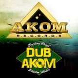 NEW**MAY**2013 PREVIEW MIX MIXTAPE DUB AKOM & DJ LOREST FRANCE PROMO MIX