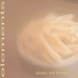 elements_side of fries