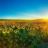 Summer Days Go By.....