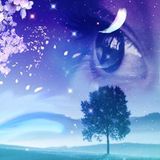 Dream With Open Eyes