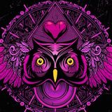 Night Owl Radio 012 With Tiësto Guest Mix