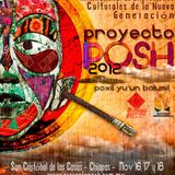 Pre-Proyecto Posh12