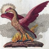 # 27 Faire le phœnix