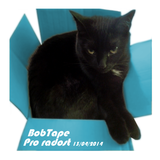 BobTape - Pro radost 13/04/2014