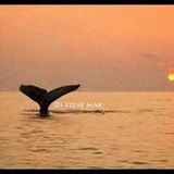 A Balearic Affaire 2 - DJ Mak