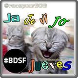 Último JaJeJiJoJueves (24-01-13)