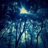 Electronic Chill Trip Hop, Mysterious Jazz (Air Relaxing Mixtape Vol,6)