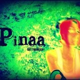 Paul Van Dyk vs Ferry Corsten - Made of New York City Love (Pinaa mash-up)