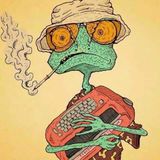 S.Mildner Aka Frequenzraupe - Raupe Didn't Shot The Sherrif.