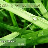 Felipe Nadeau - Deep is all you Need
