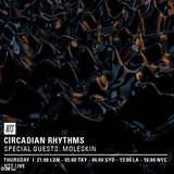 Circadian Rhythms w/ Black Wax, Last Japan & Moleskin - 17th March 2016
