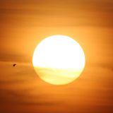 Sun & Bass 2014 Mix