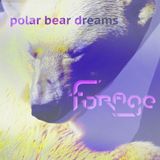dj forage - polar bear dreams - dub tech house future garage
