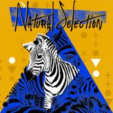 Natural Selection 1: Risky Business