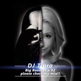 DJ Tiara Big Room Mix #2