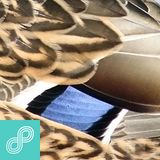 New Releases 238. English edition hosted by Alberto Sola