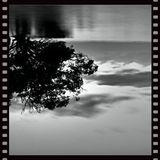 Beautiful Beats Mix