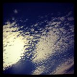 a bird flying through the erased sky