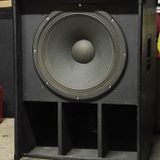 Blackbird give i the vibes !