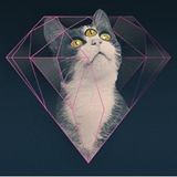 SῌЄℜⱢØϾK ΩῌMϨ: Interdimensional time cat