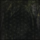 Commoddity - Unified Field Set