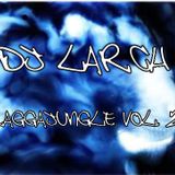 DJ LARCH - RAGGAJUNGLE VOL 2