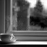 RAINY afternoons in HOLLAND