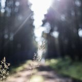 Mix-VIII-Polish-Folk-April15