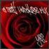 Scott Hardkiss- YES