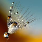 Levitation (ambient mix)