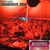 SoundRave 2014