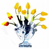 Lieve Tulp