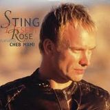 Sting - Desert Rose (Tommer Mizrahi Remix)