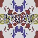 Februar Psy Set 2016
