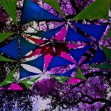 Forestal Progress 2015 (Dark Progressive / Forest)